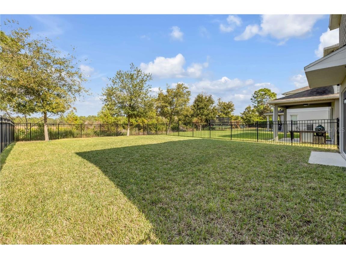 1561 Chelsea Manor Circle Deland FL 32724 NS1086712 image4