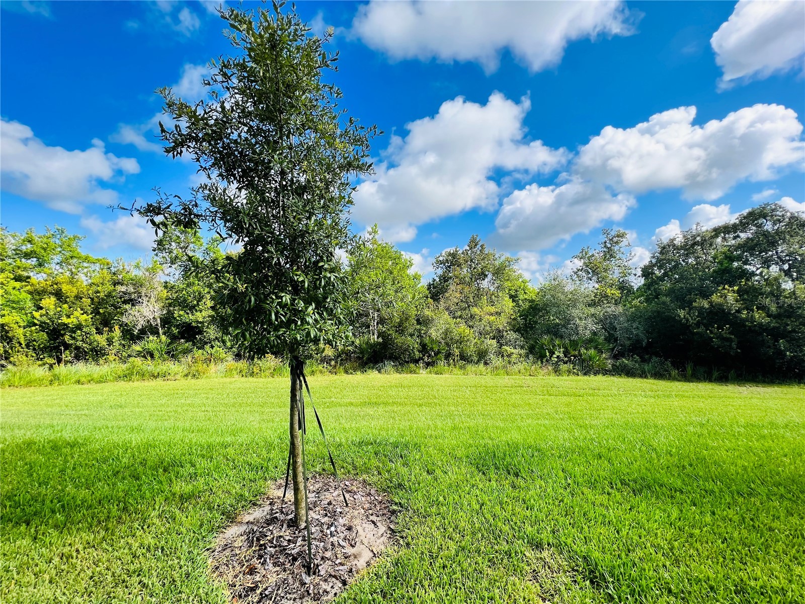 1561 Discovery Street Davenport FL 33896 O6423150 image14
