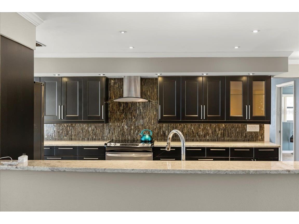 1561 Mac Charles Court Dunedin FL 34698 O6356406 image10