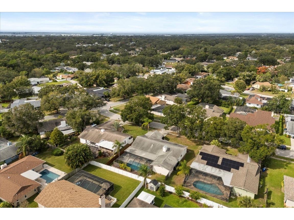 1561 Mac Charles Court Dunedin FL 34698 O6356406 image35