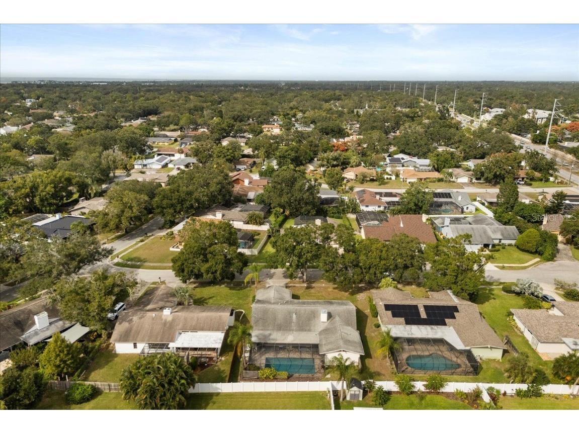 1561 Mac Charles Court Dunedin FL 34698 O6356406 image36