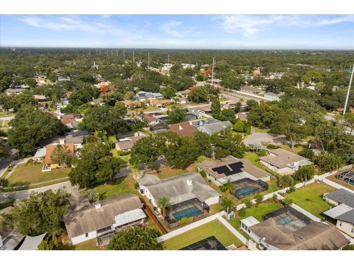 1561 Mac Charles Court Dunedin FL 34698 O6356406 image37