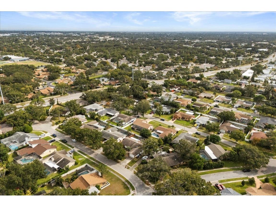 1561 Mac Charles Court Dunedin FL 34698 O6356406 image38