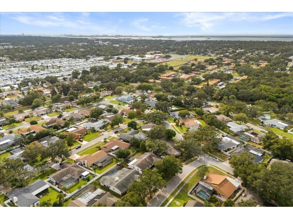 1561 Mac Charles Court Dunedin FL 34698 O6356406 image39