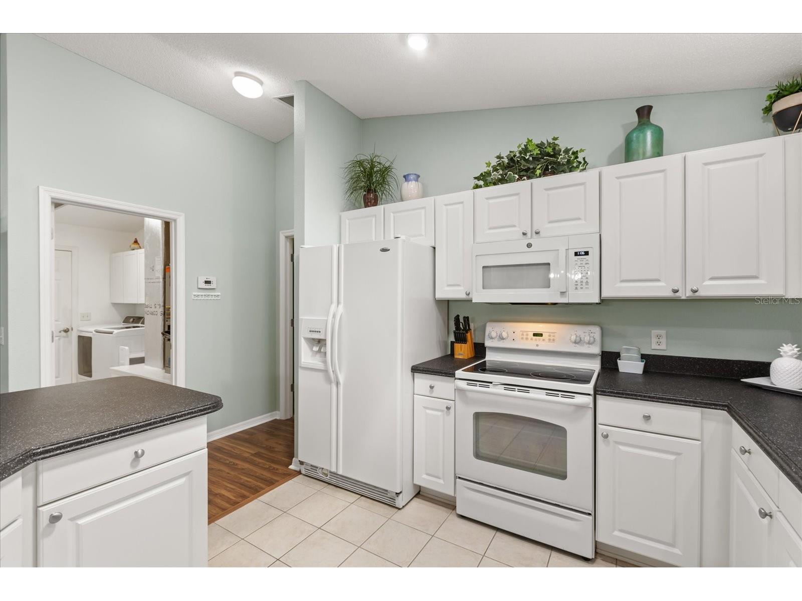 1561 Tallowtree Drive The Villages FL 32162 G5112112 image19