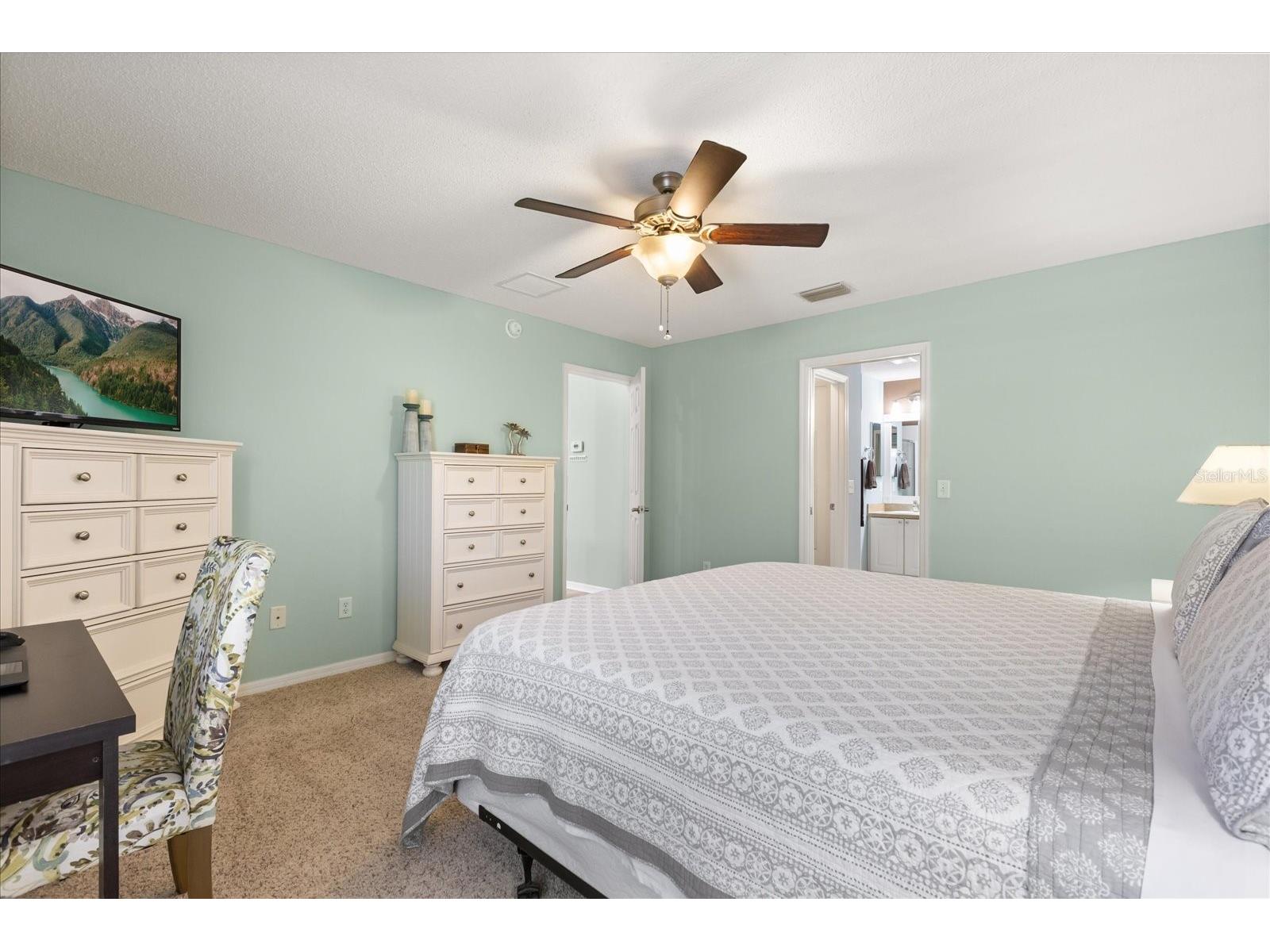 1561 Tallowtree Drive The Villages FL 32162 G5112112 image30