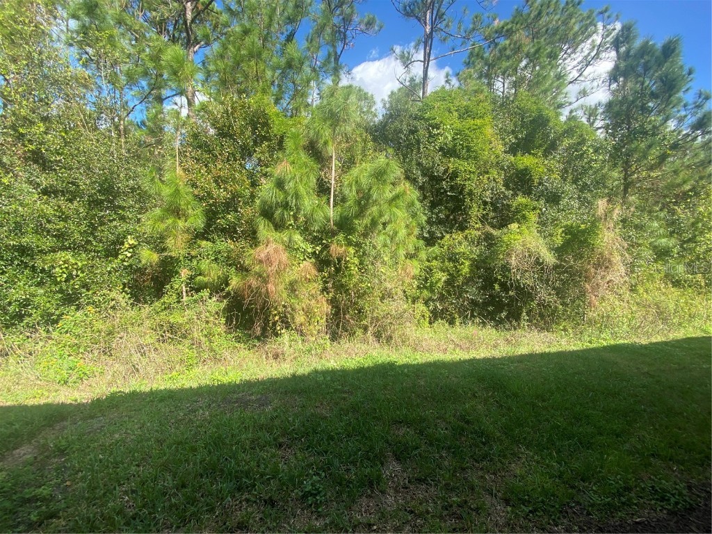 1561 Vienna Square Drive Winter Haven FL 33884 P4932767 image32