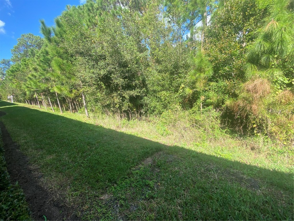 1561 Vienna Square Drive Winter Haven FL 33884 P4932767 image33