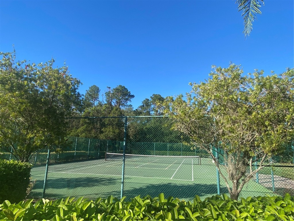 1561 Vienna Square Drive Winter Haven FL 33884 P4932767 image40