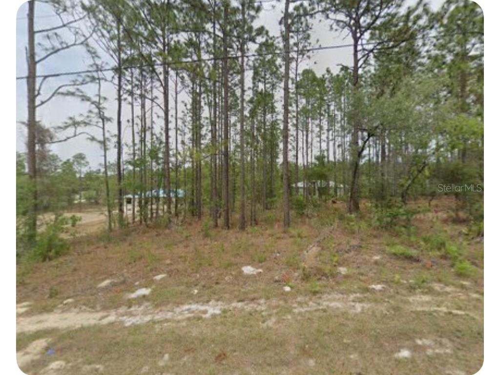 1561 W Gainsboro Lane Citrus Springs FL 34434 TB8402593 image1