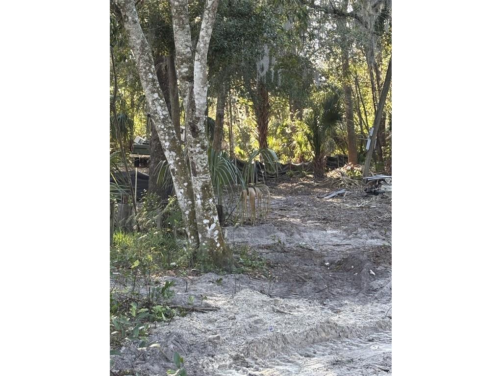 15611 Lilly Lane Hudson FL 34667 TB8356953 image1
