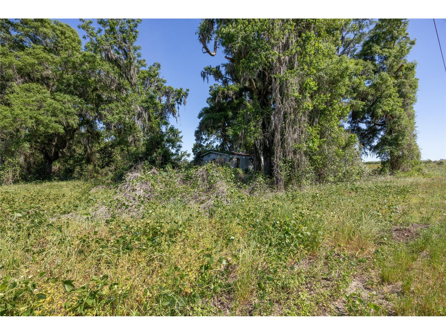 15611 NW 173rd Street Alachua FL 32615 GC539399 image6