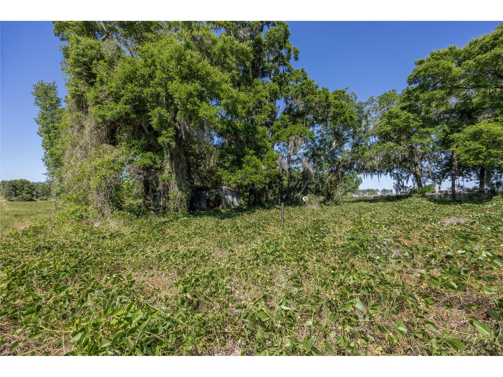 15611 NW 173rd Street Alachua FL 32615 GC539399 image7