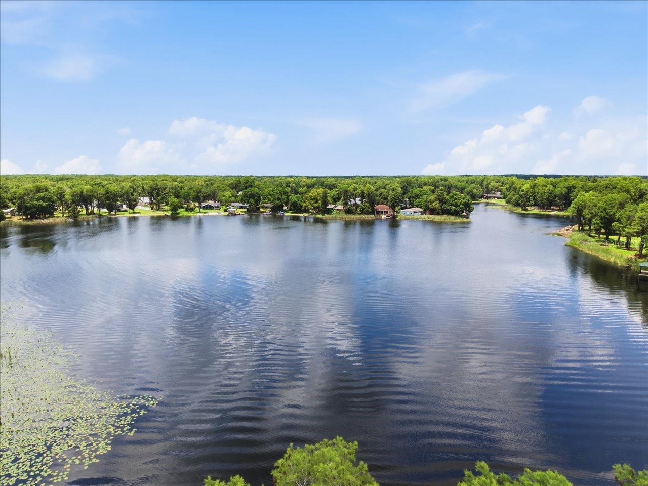 15612 Howell Park Lane Tampa FL 33625 - HALFMOON TB8511294 image2