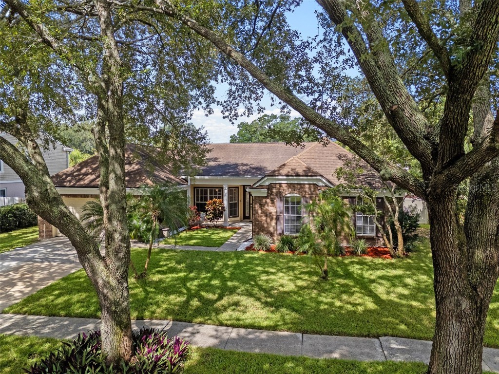 15612 Indian Queen Drive Odessa FL 33556 TB8416258 image46