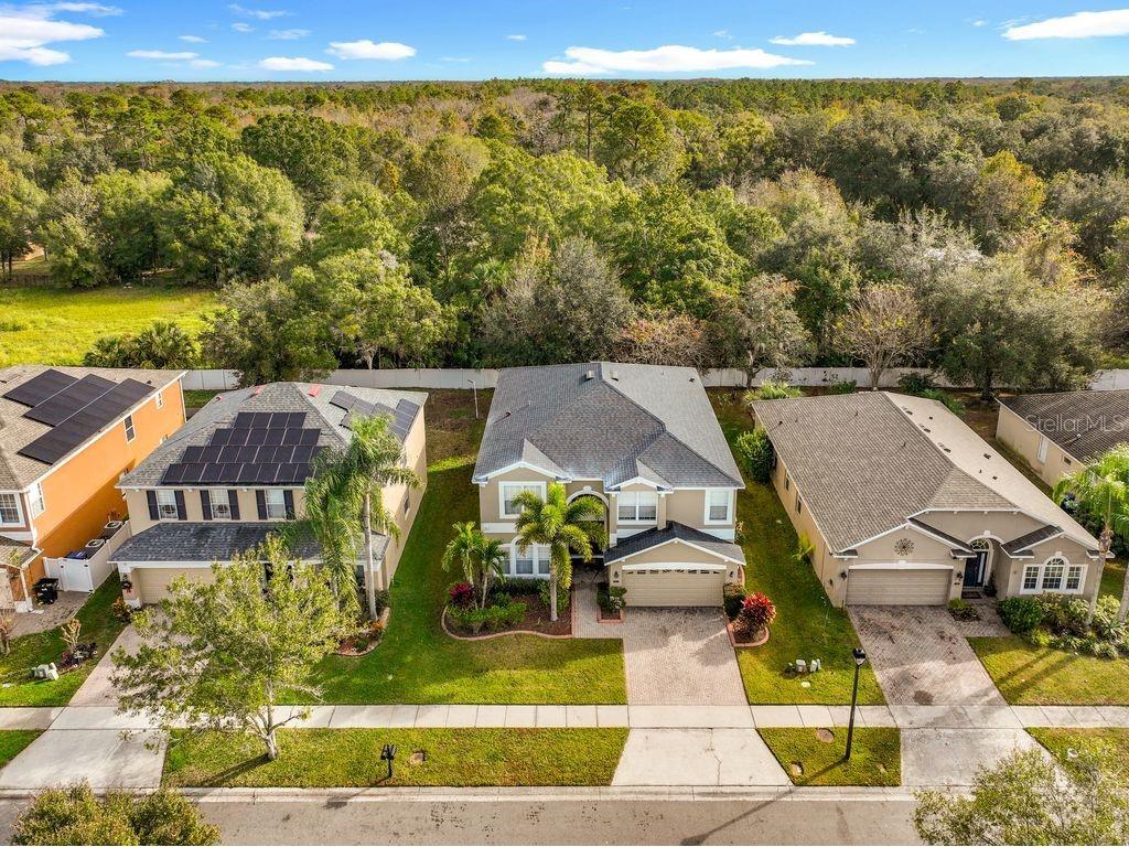 15612 Montesino Drive Orlando FL 32828 O6363862 image65