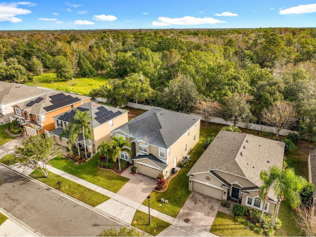 15612 Montesino Drive Orlando FL 32828 O6363862 image66