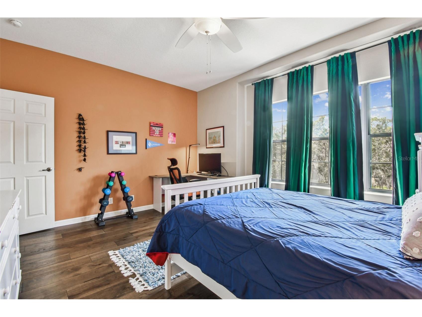 15613 N Himes Avenue Tampa FL 33618 TB8445400 image46