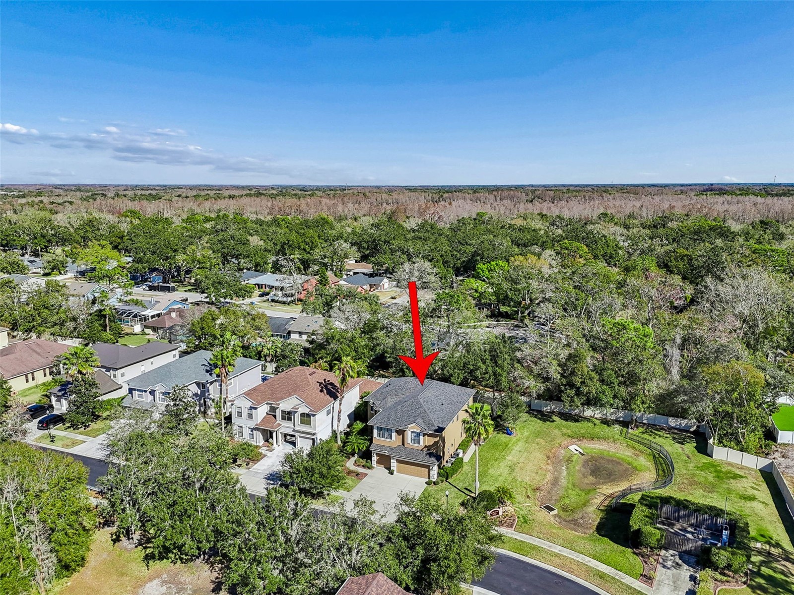 15613 N Himes Avenue Tampa FL 33618 TB8445400 image62