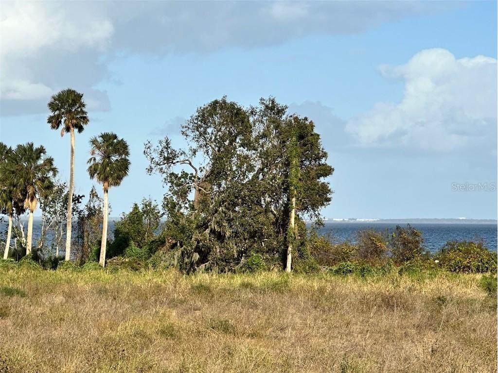 15613 Pendio Drive FL 34756 - LAKE APOPKA G5090410 image1