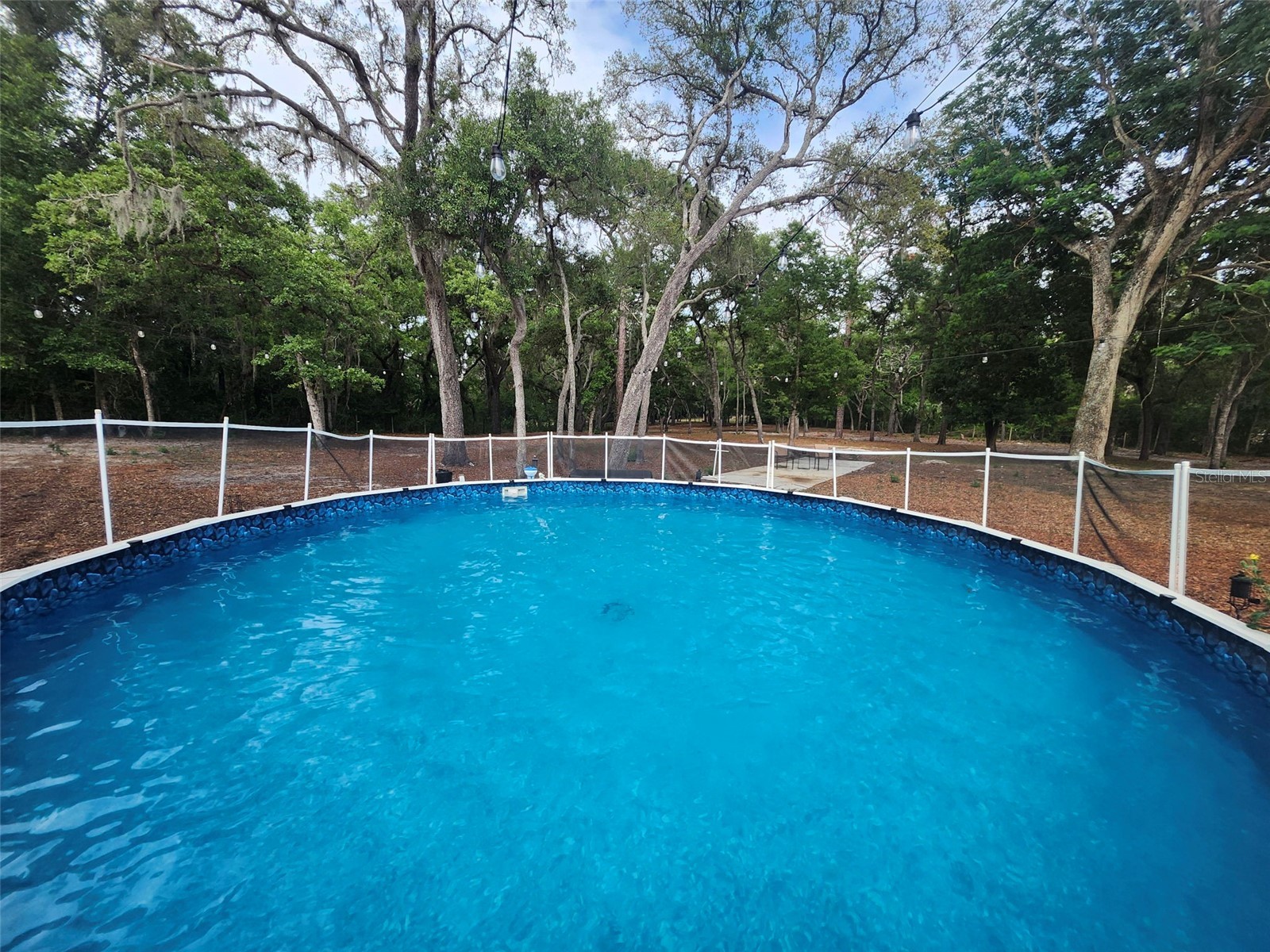 15614 Renee Lane Hudson FL 34669 TB8508541 image31