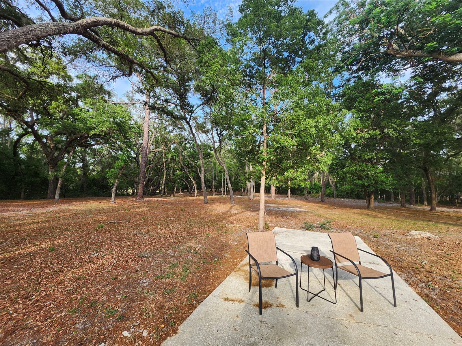 15614 Renee Lane Hudson FL 34669 TB8508541 image43