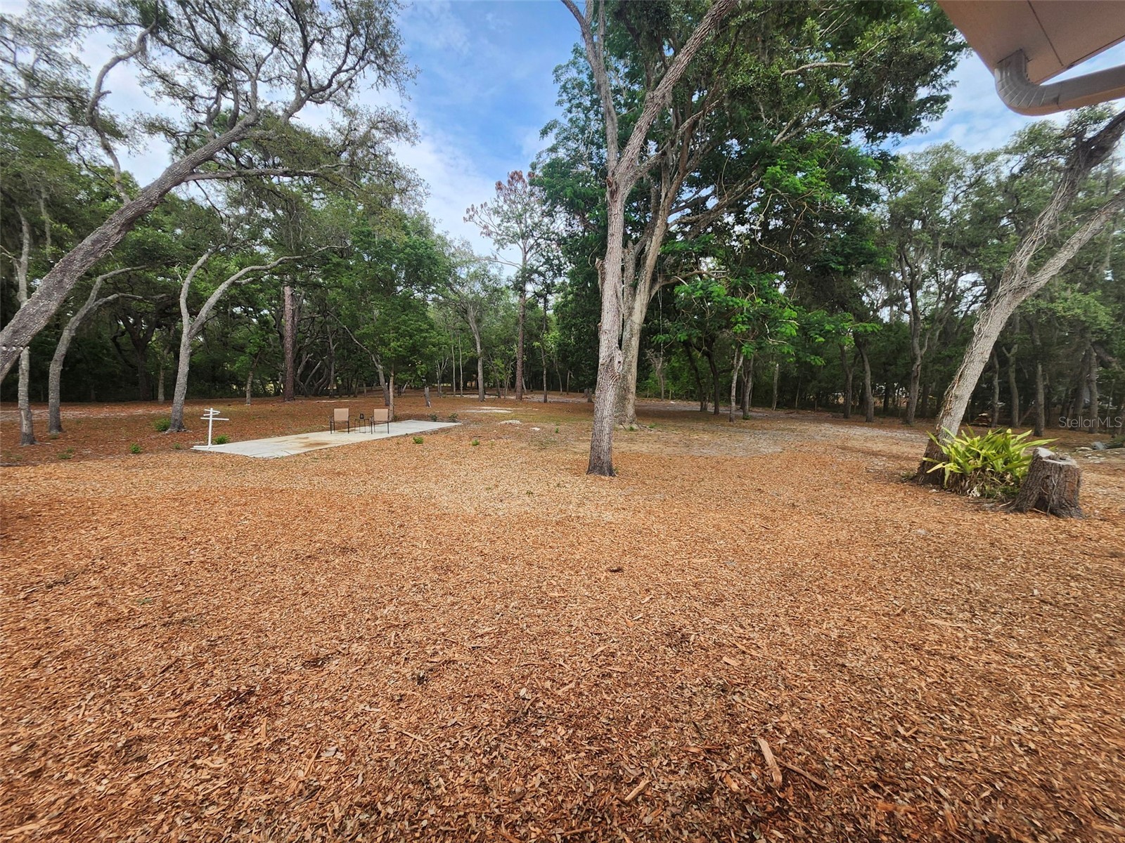 15614 Renee Lane Hudson FL 34669 TB8508541 image47