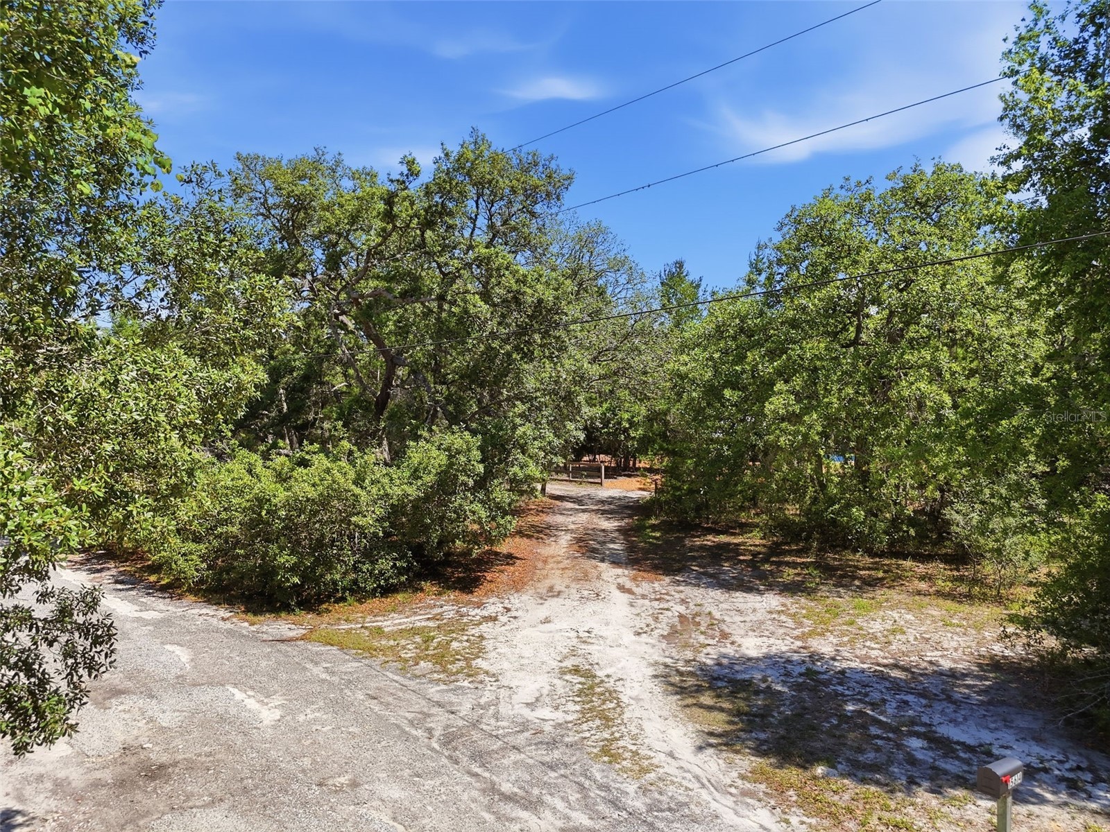 15614 Renee Lane Hudson FL 34669 TB8508541 image49