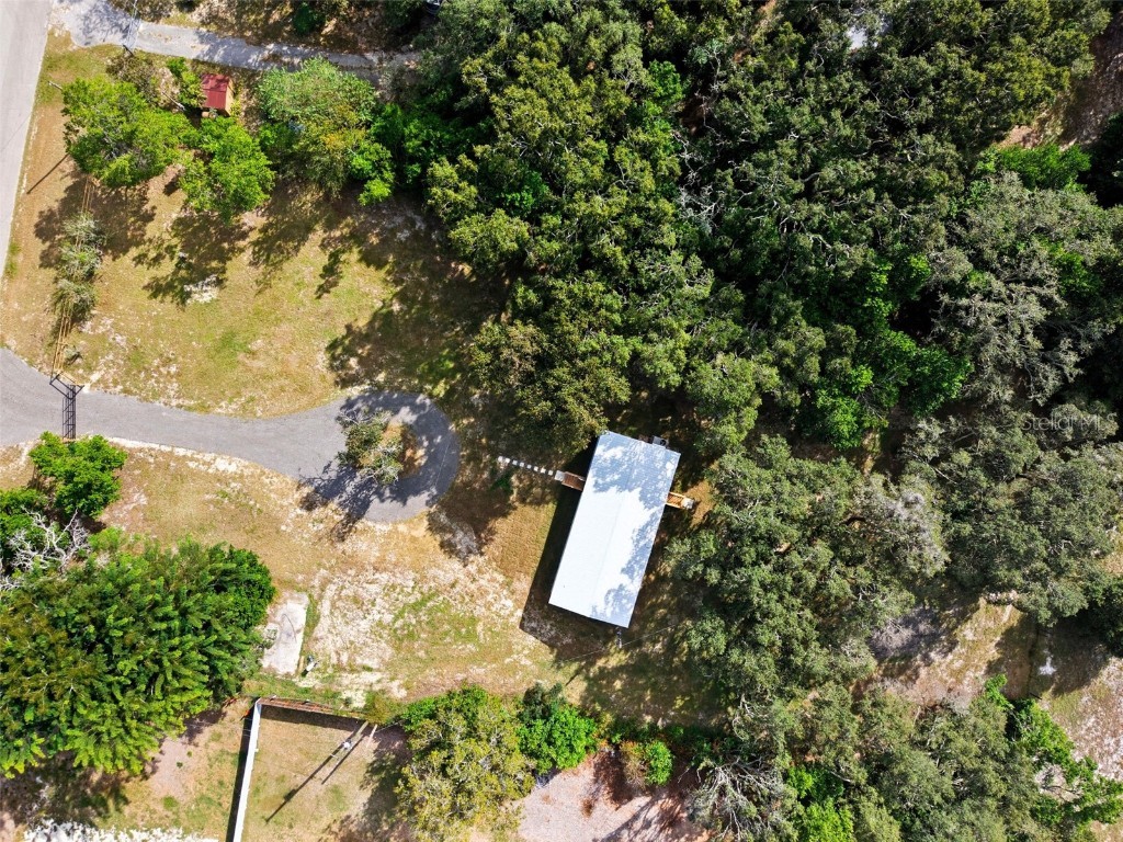 15616 Larry Road Spring Hill FL 34610 W7879945 image35