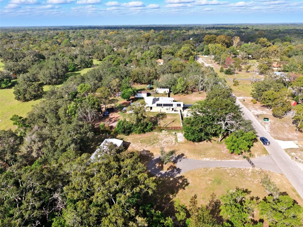 15616 Larry Road Spring Hill FL 34610 W7879945 image40