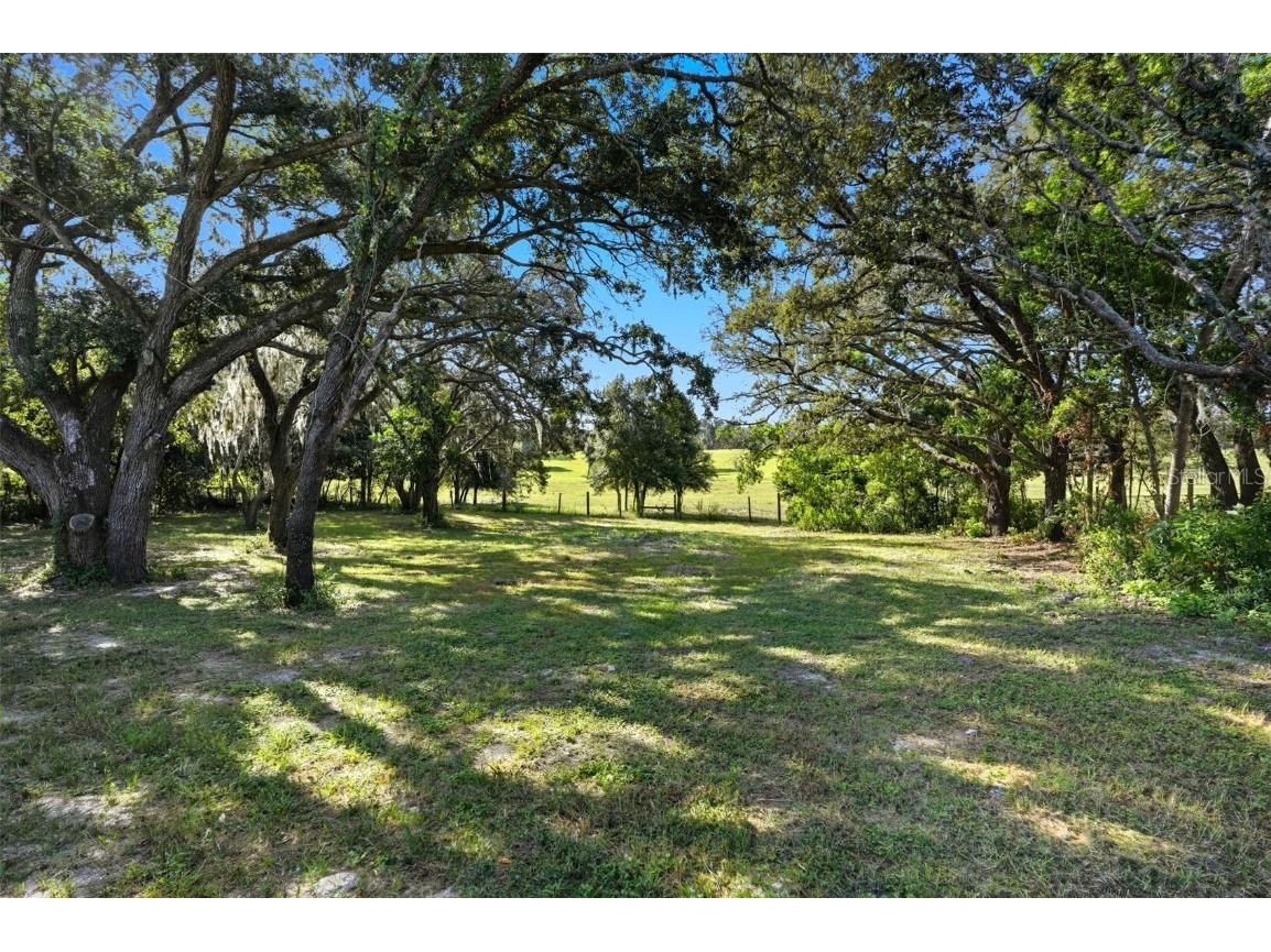 15616 Larry Road Spring Hill FL 34610 W7879945 image5