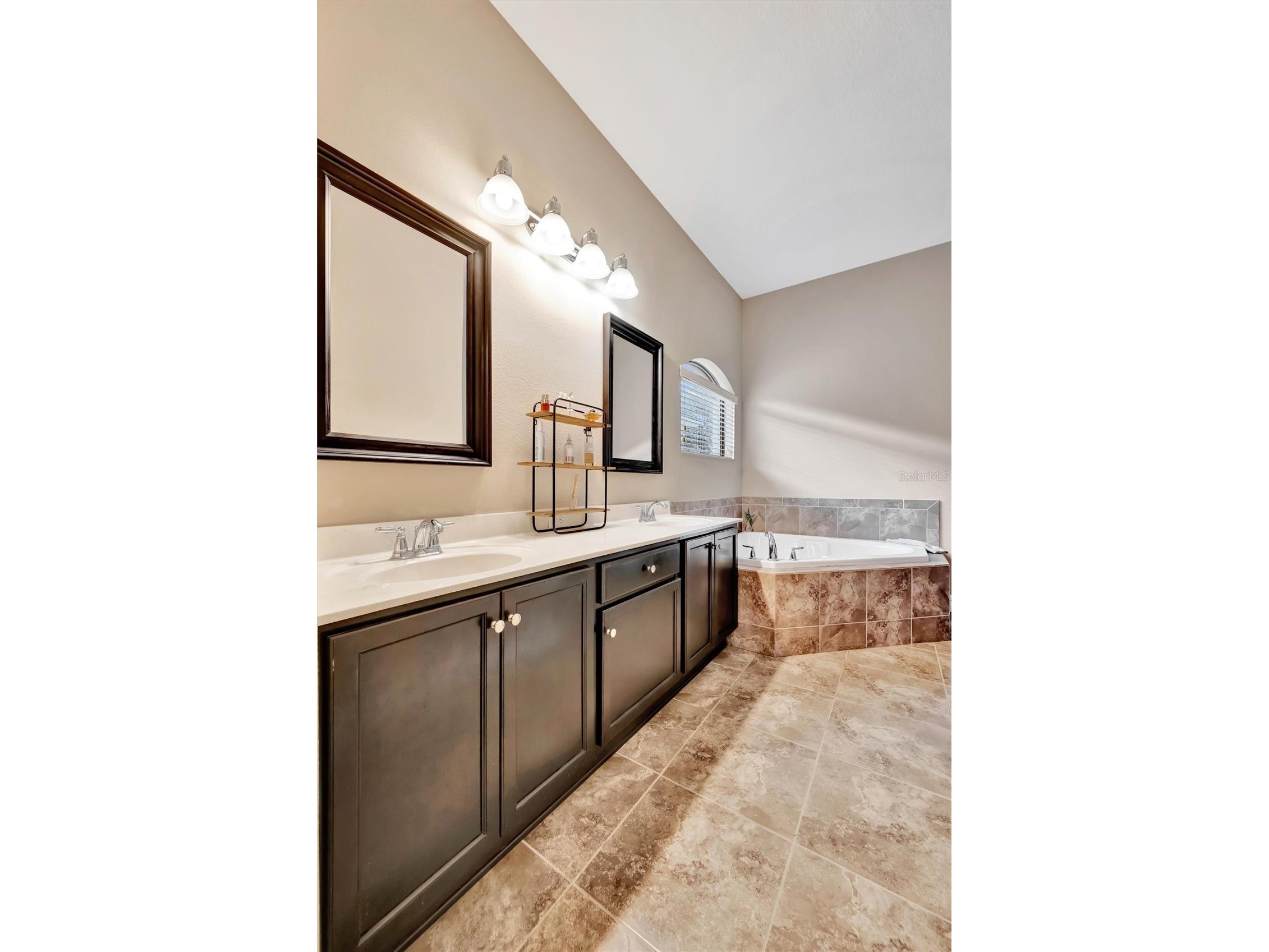 15616 Starling Water Drive Lithia FL 33547 TB8480208 image38