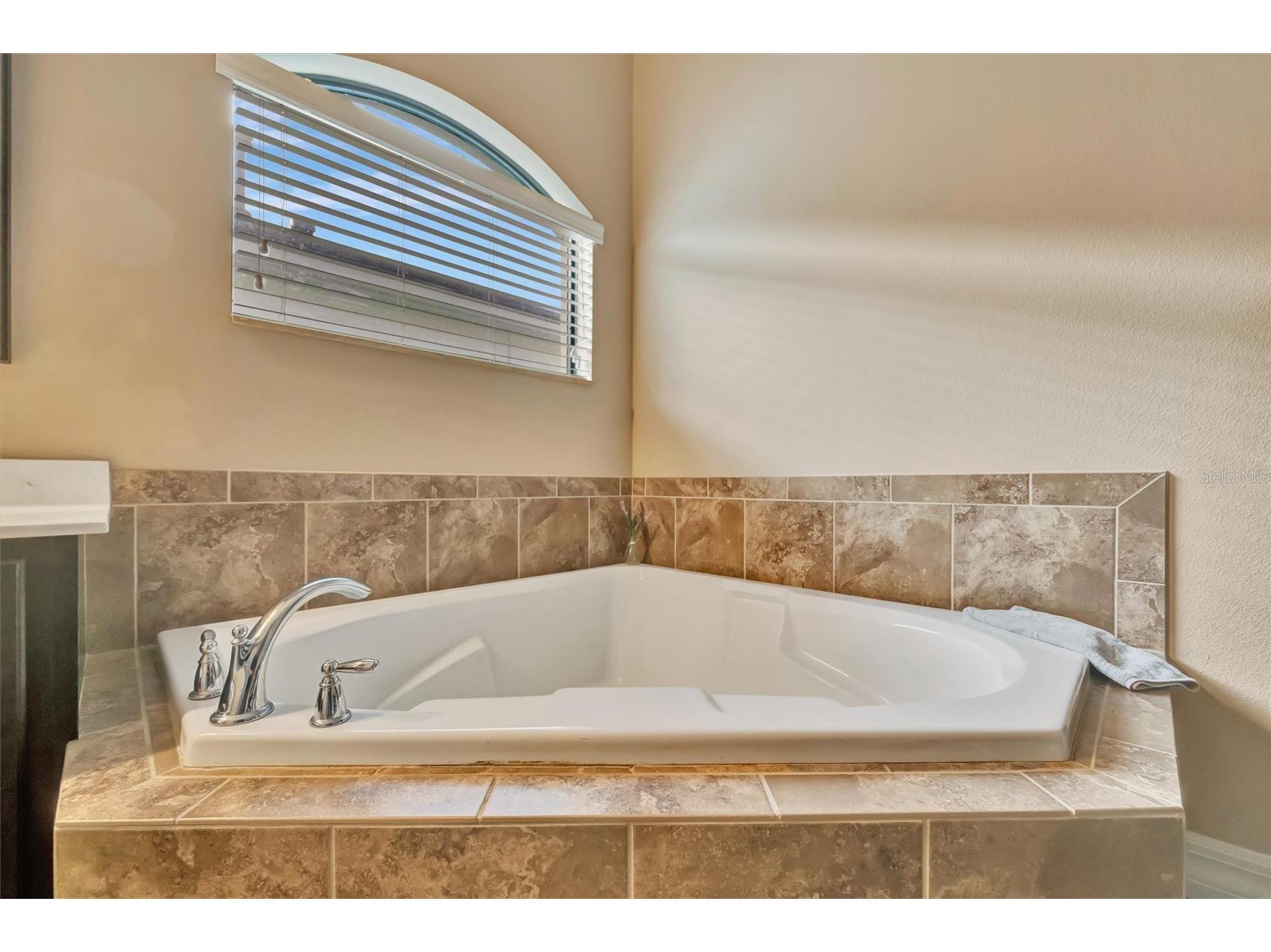 15616 Starling Water Drive Lithia FL 33547 TB8480208 image40