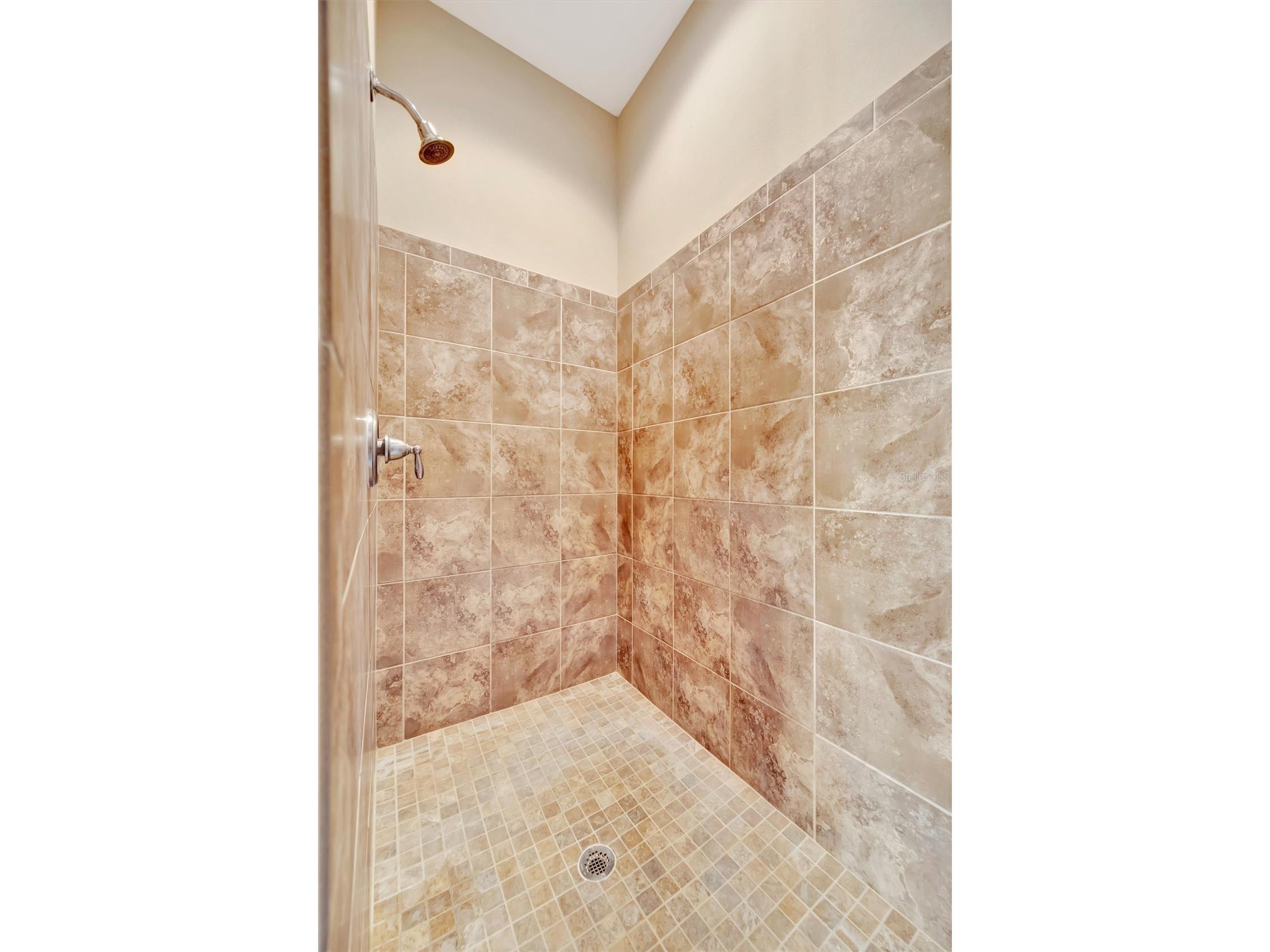 15616 Starling Water Drive Lithia FL 33547 TB8480208 image42