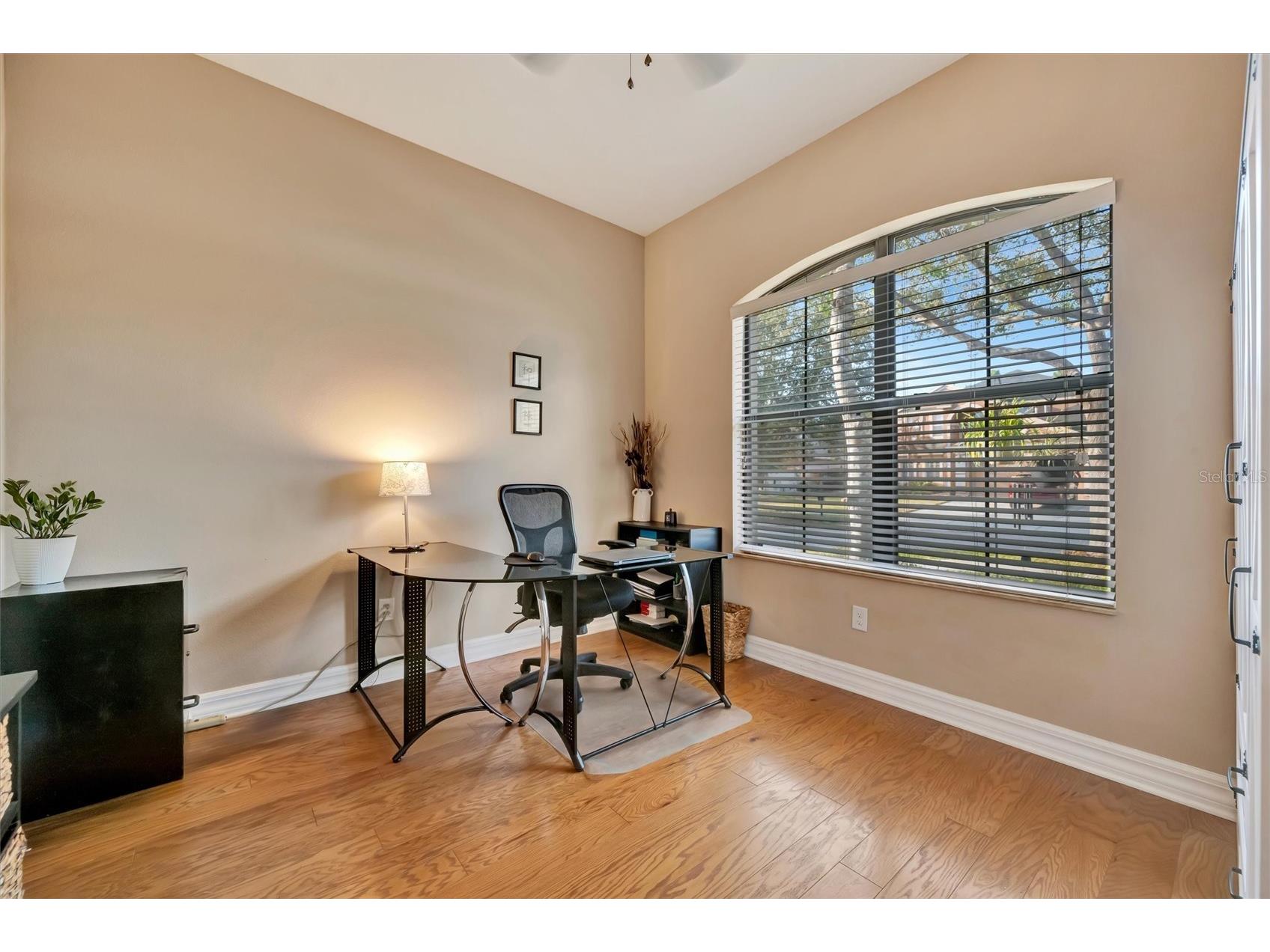 15616 Starling Water Drive Lithia FL 33547 TB8480208 image43