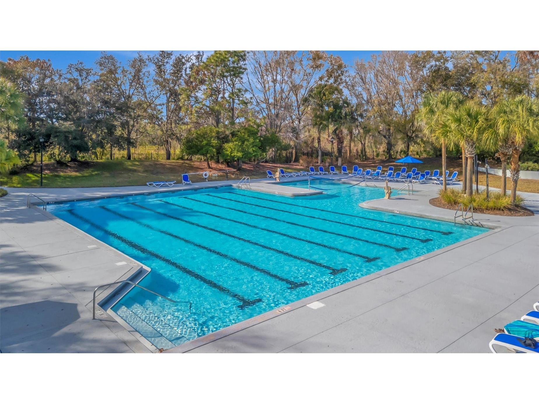 15616 Starling Water Drive Lithia FL 33547 TB8480208 image76
