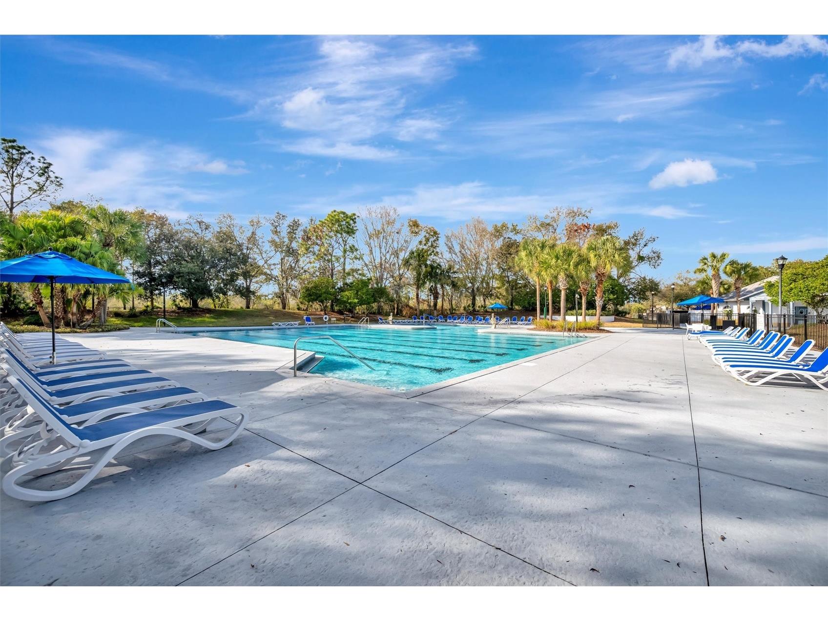 15616 Starling Water Drive Lithia FL 33547 TB8480208 image93
