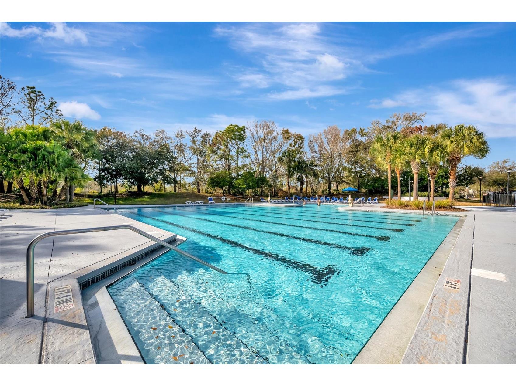 15616 Starling Water Drive Lithia FL 33547 TB8480208 image94
