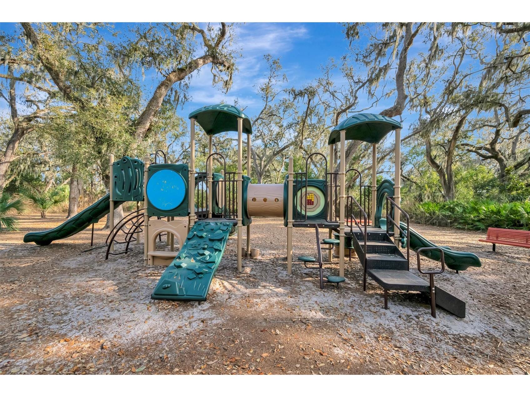 15616 Starling Water Drive Lithia FL 33547 TB8480208 image97