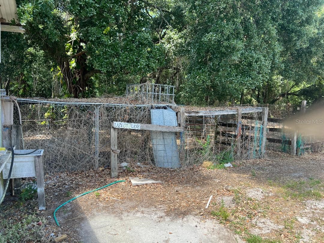 15617 Casey Road Tampa FL 33624 - CREEK TB8498147 image11