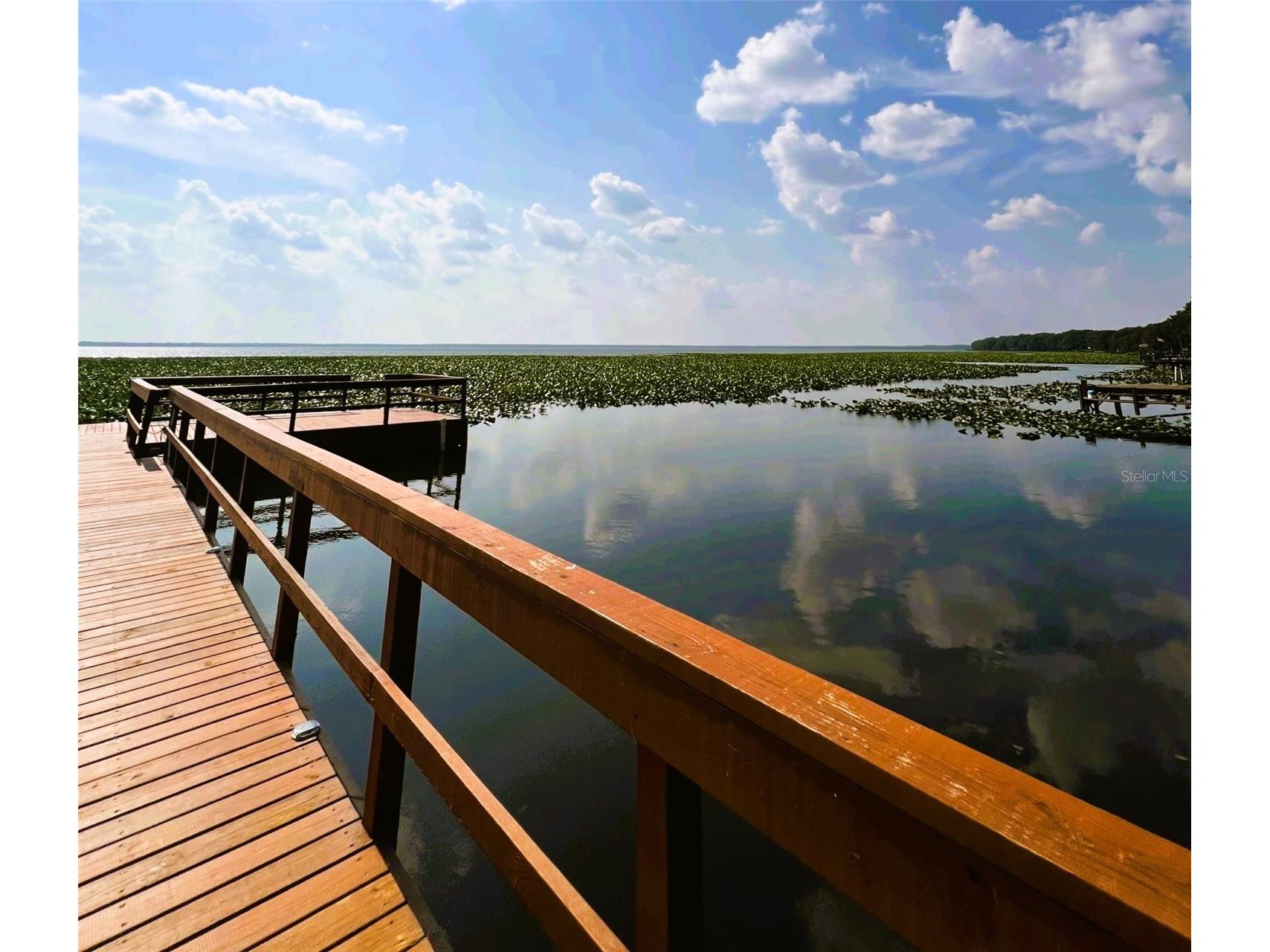 15618 SE Us Highway 301 Hawthorne FL 32640 - LOCHLOOSA LAKE S5143182 image34