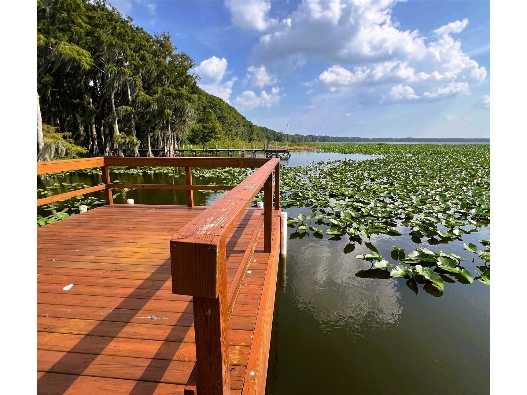 15618 SE Us Highway 301 Hawthorne FL 32640 - LOCHLOOSA LAKE S5143182 image36