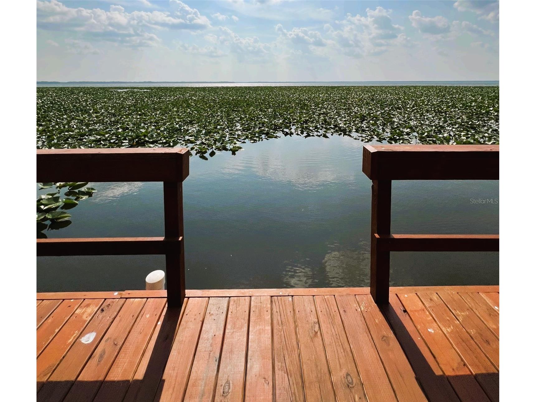 15618 SE Us Highway 301 Hawthorne FL 32640 - LOCHLOOSA LAKE S5143182 image38