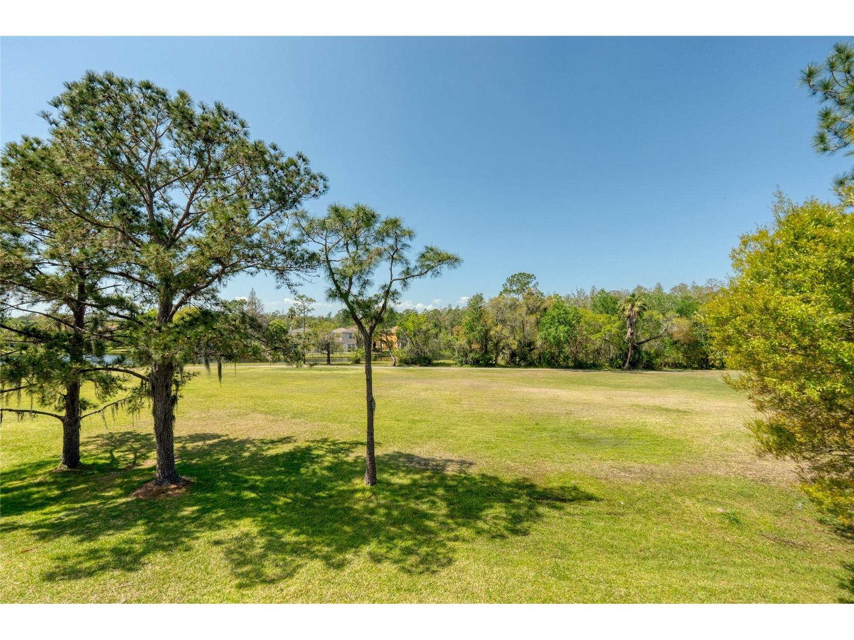 15618 Shoal Creek Place Odessa FL 33556 TB8494594 image64