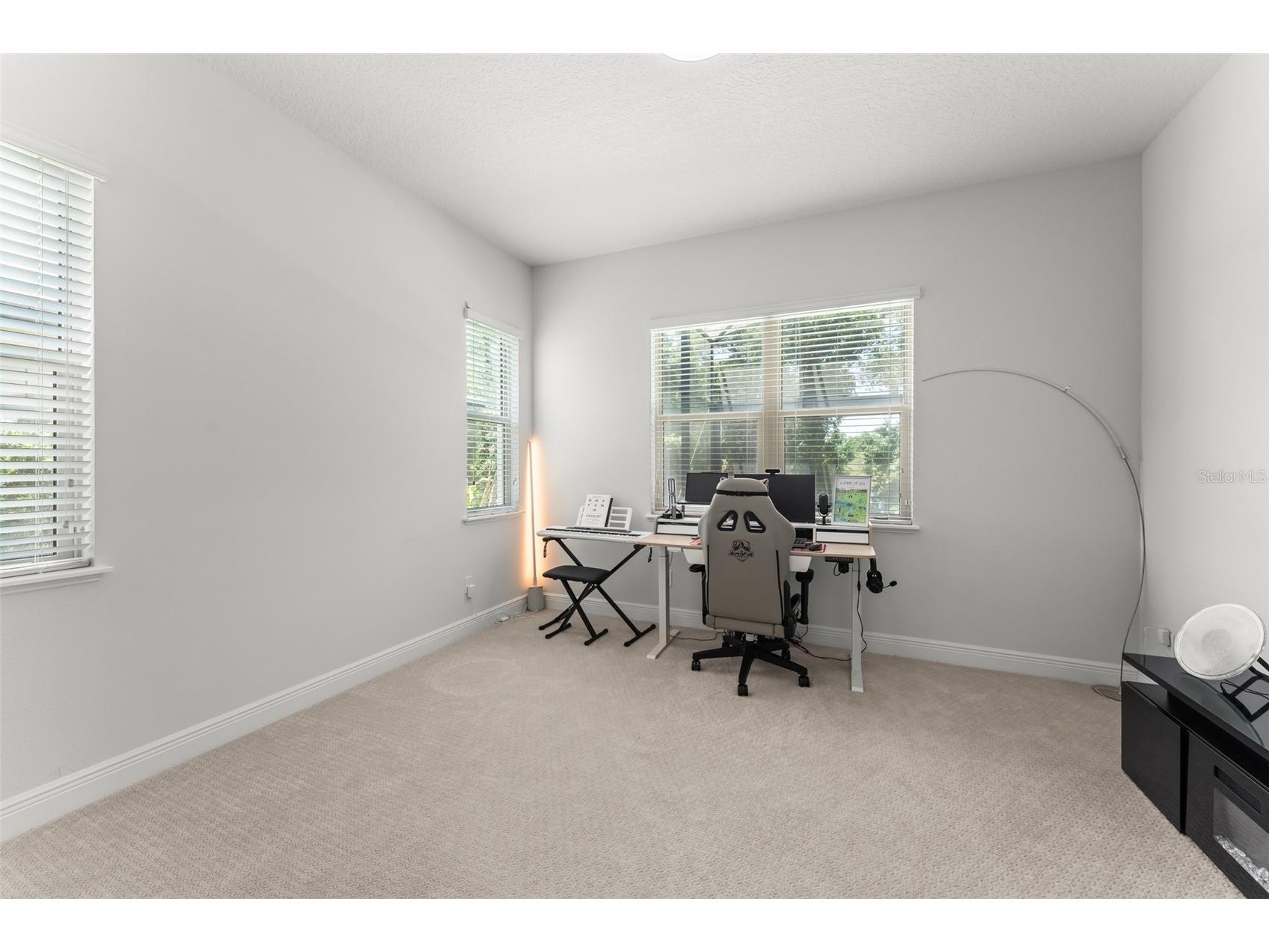 15619 Giant Foxtail Court Winter Garden FL 34787 O6422589 image40
