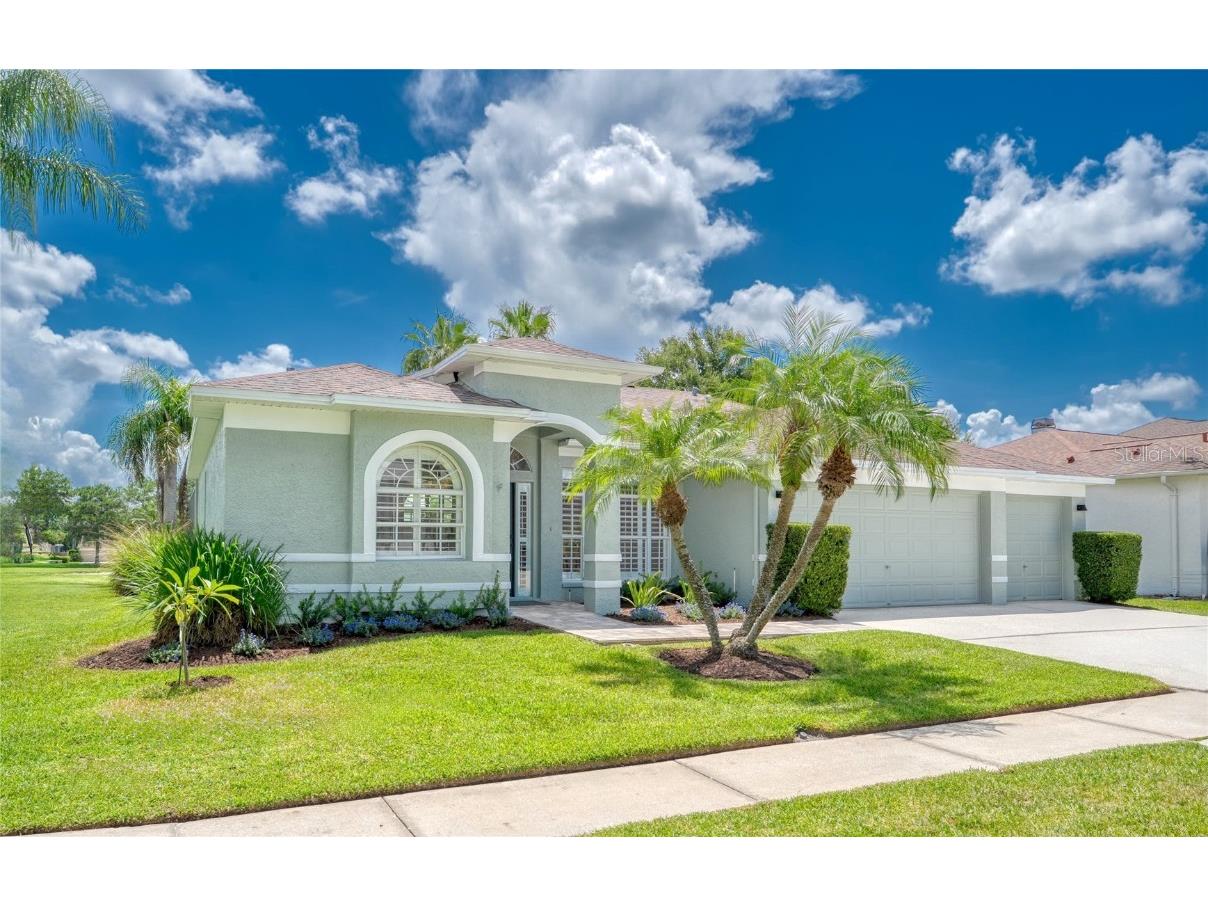 15619 Shoal Creek Place Odessa FL 33556 TB8409543 image1