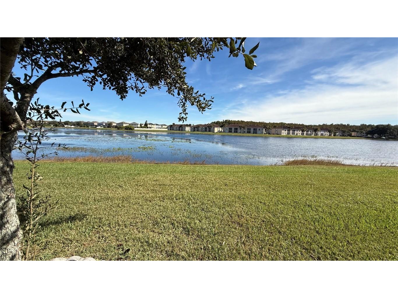 15619 Willow Arbor Circle Orlando FL 32824 S5138694 image28