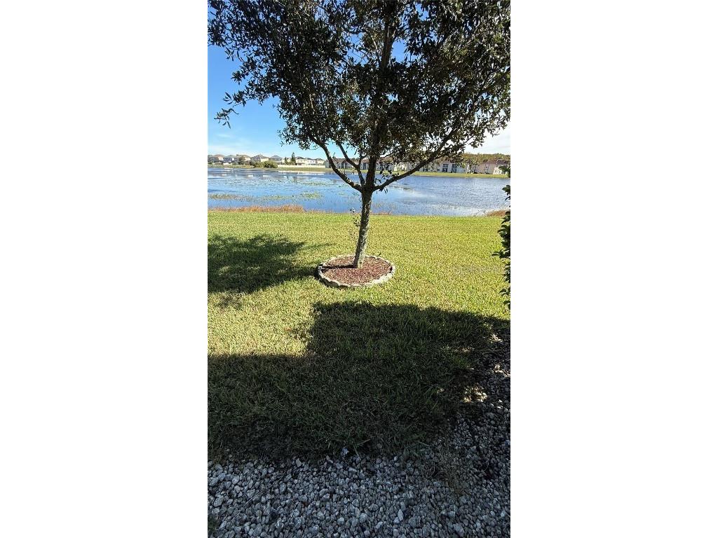 15619 Willow Arbor Circle Orlando FL 32824 S5138694 image29