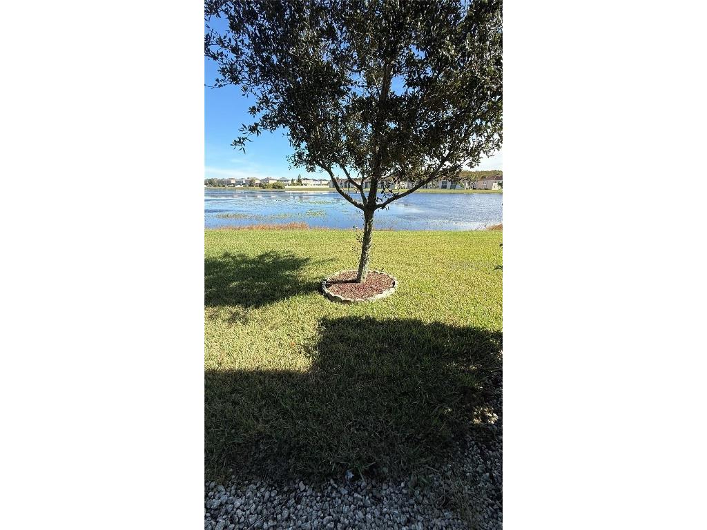 15619 Willow Arbor Circle Orlando FL 32824 S5138694 image30