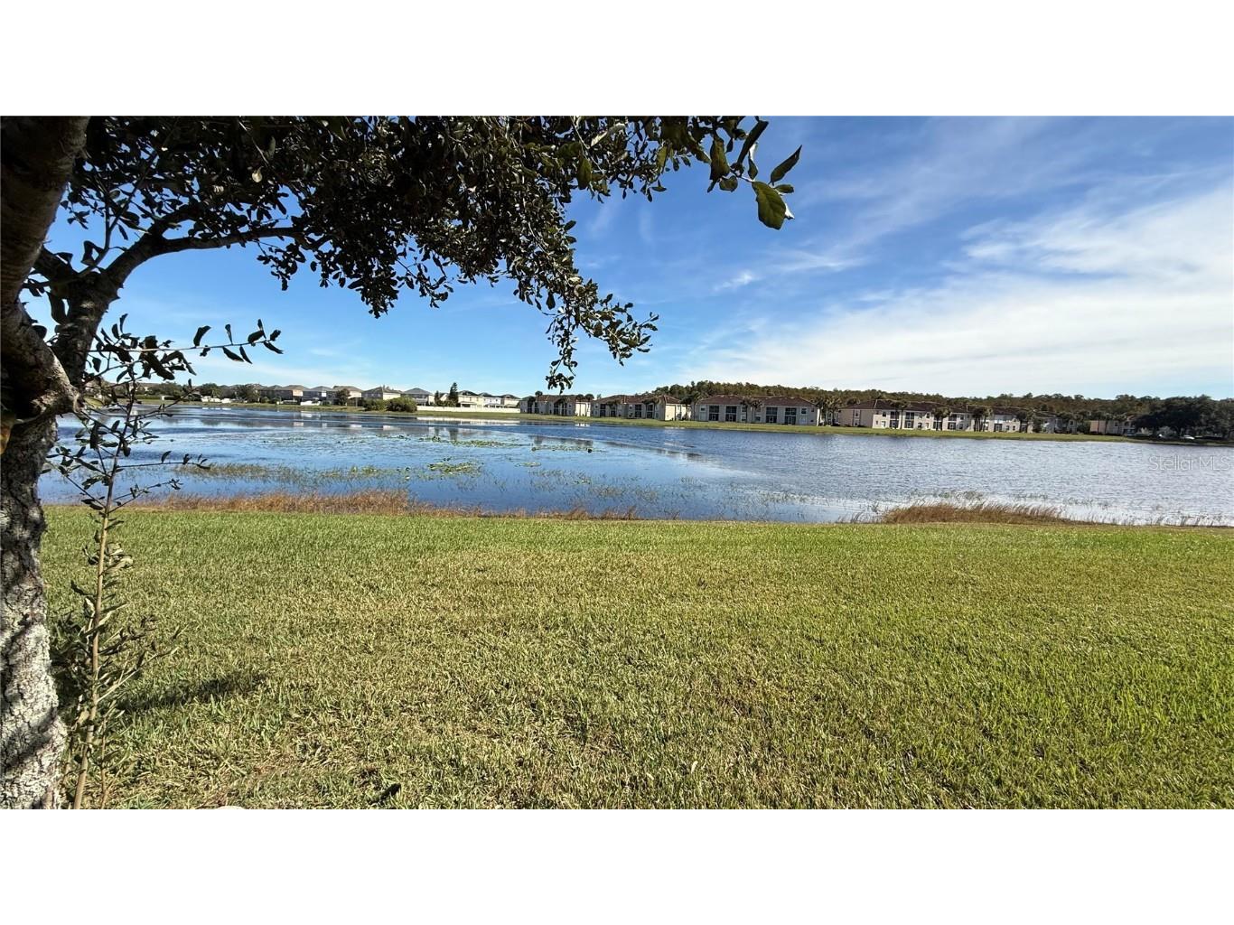 15619 Willow Arbor Circle Orlando FL 32824 S5138694 image31